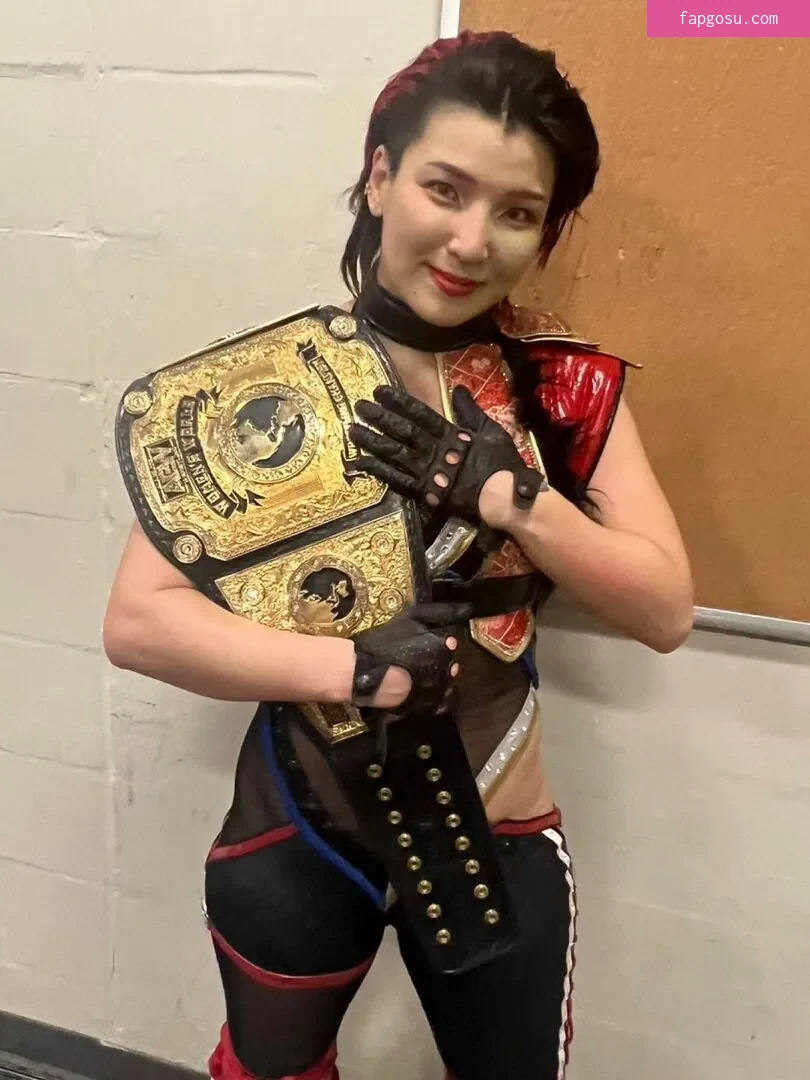 Hikaru Shida