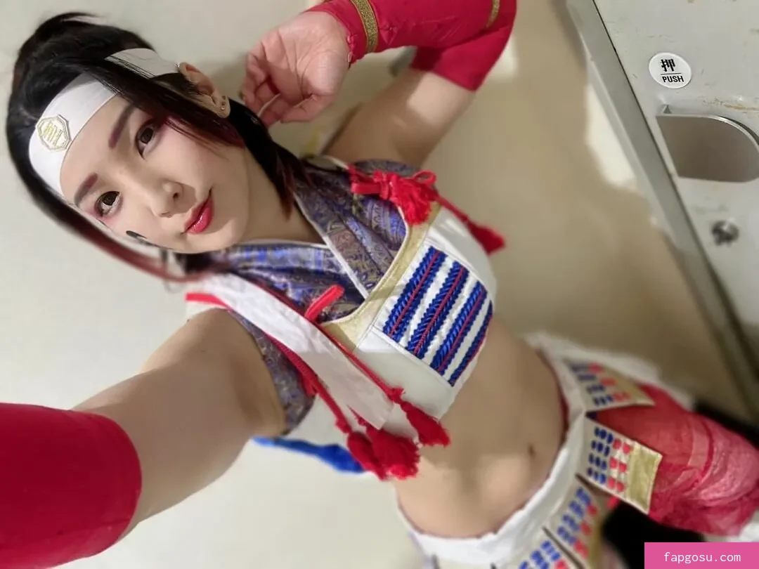 Hikaru Shida