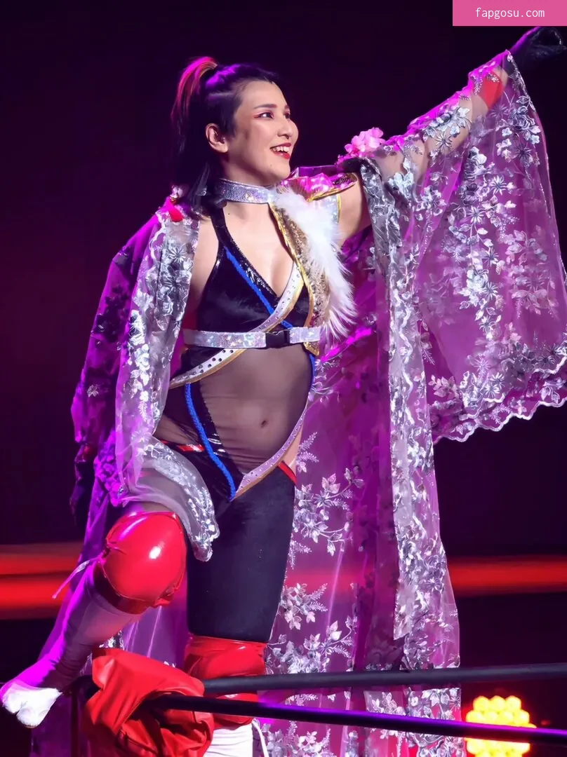 Hikaru Shida