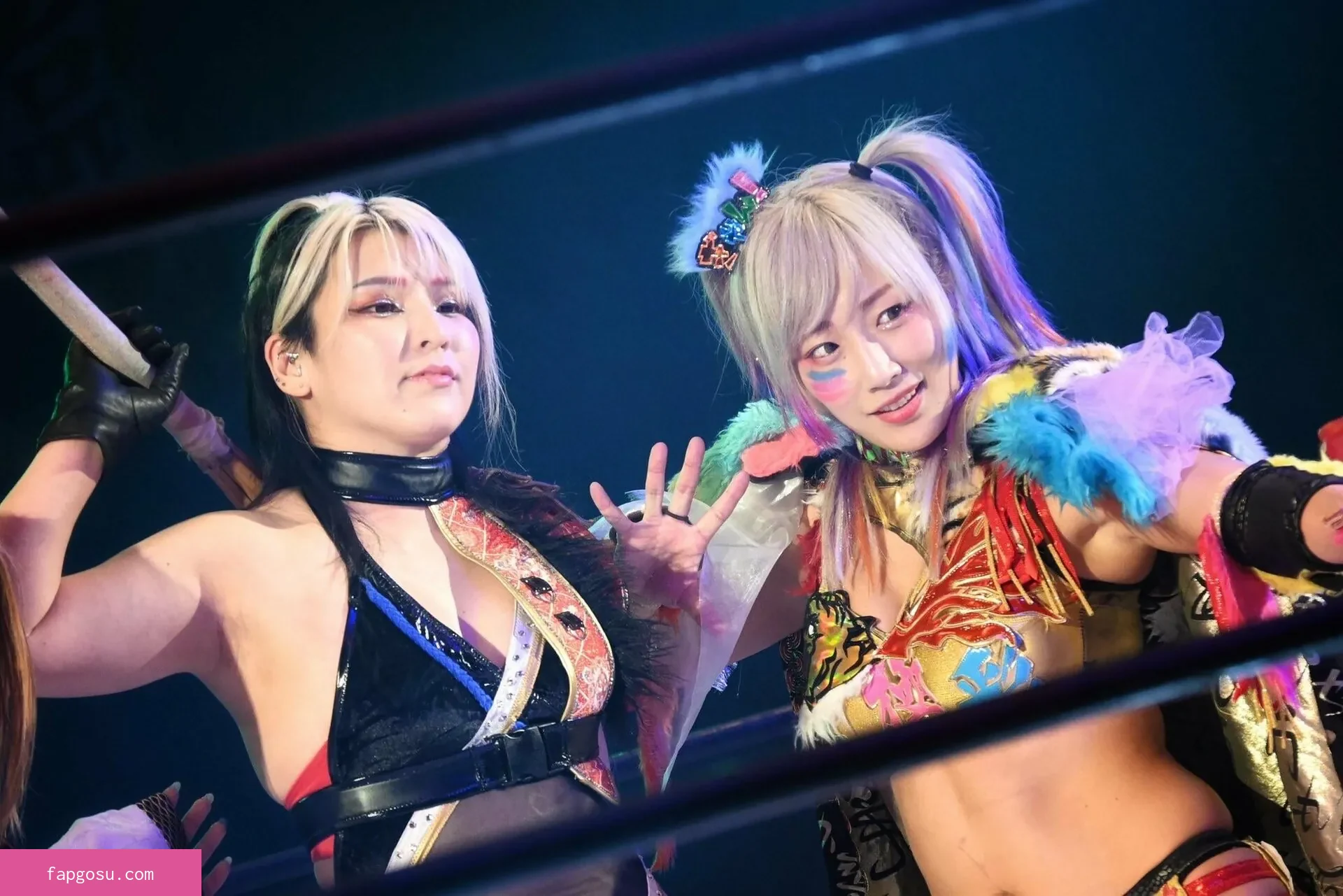 Hikaru Shida