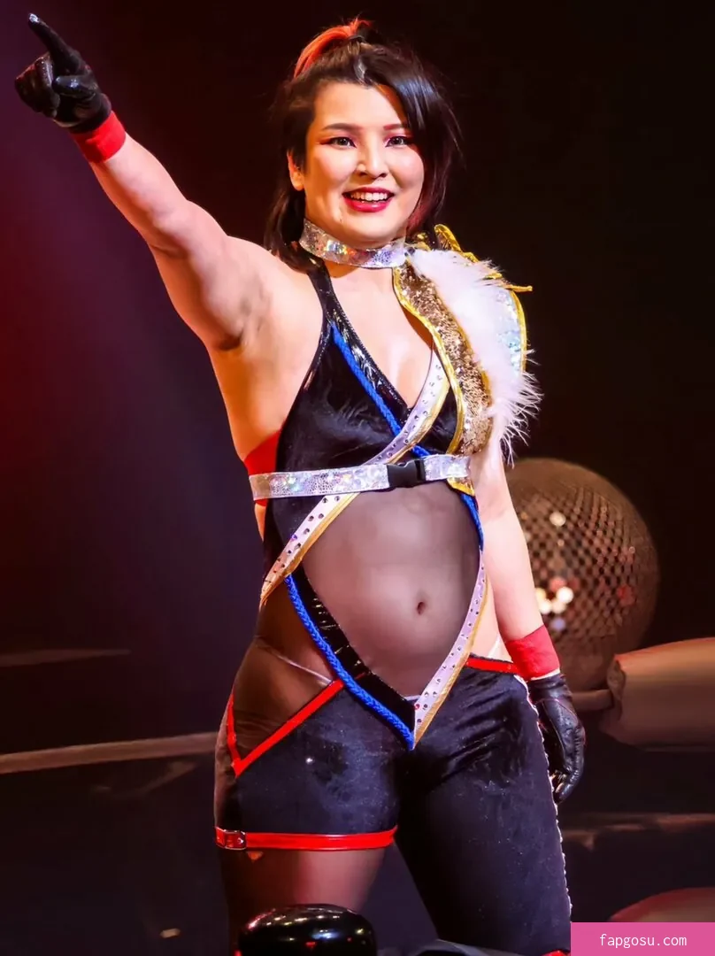 Hikaru Shida