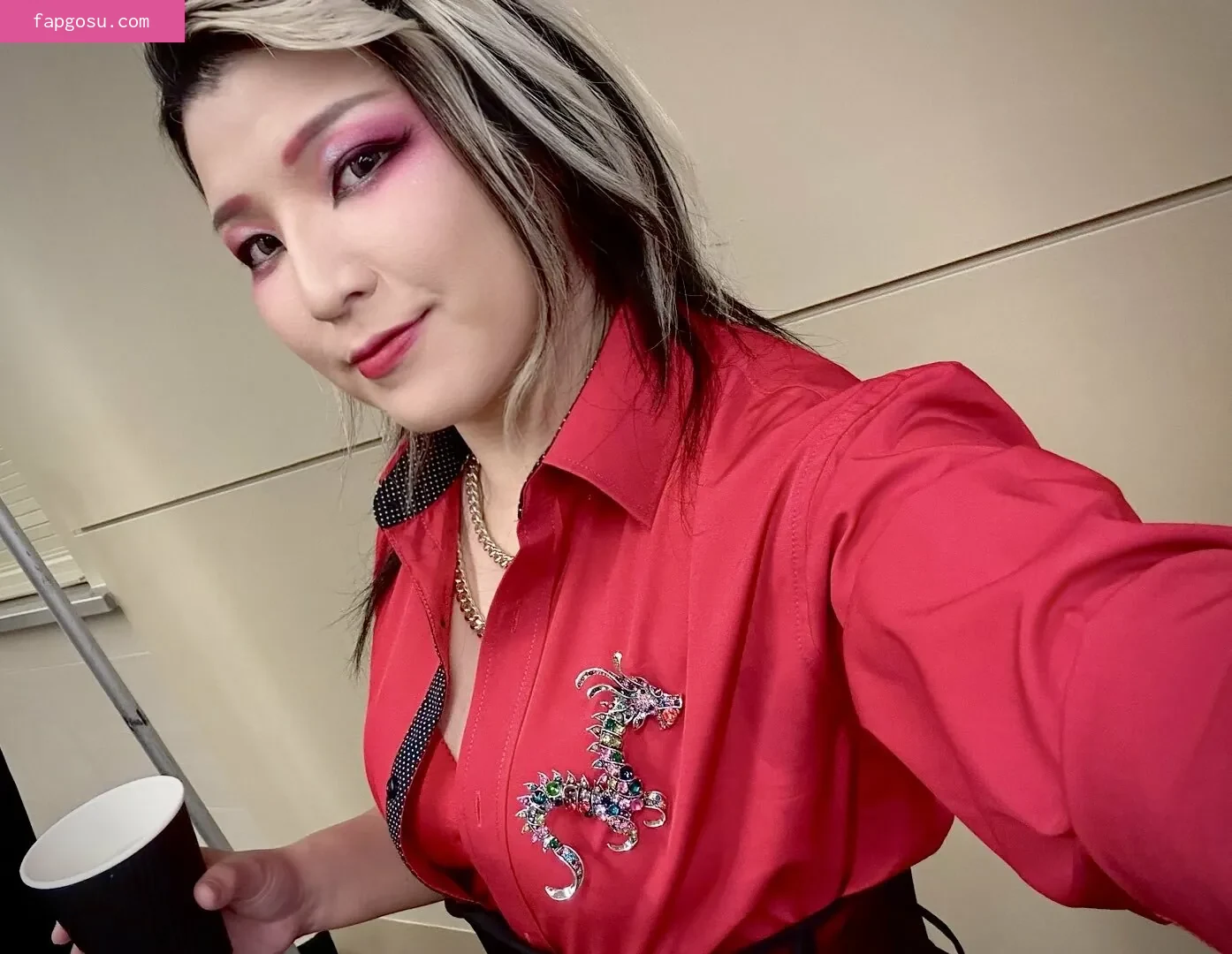 Hikaru Shida