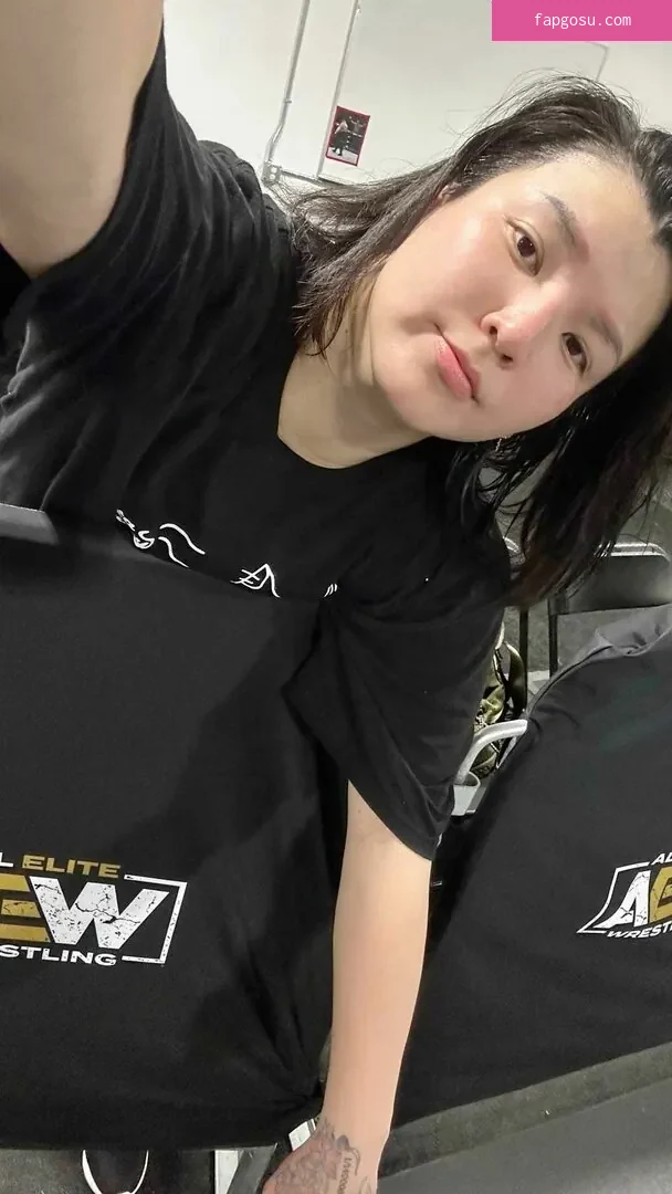 Hikaru Shida