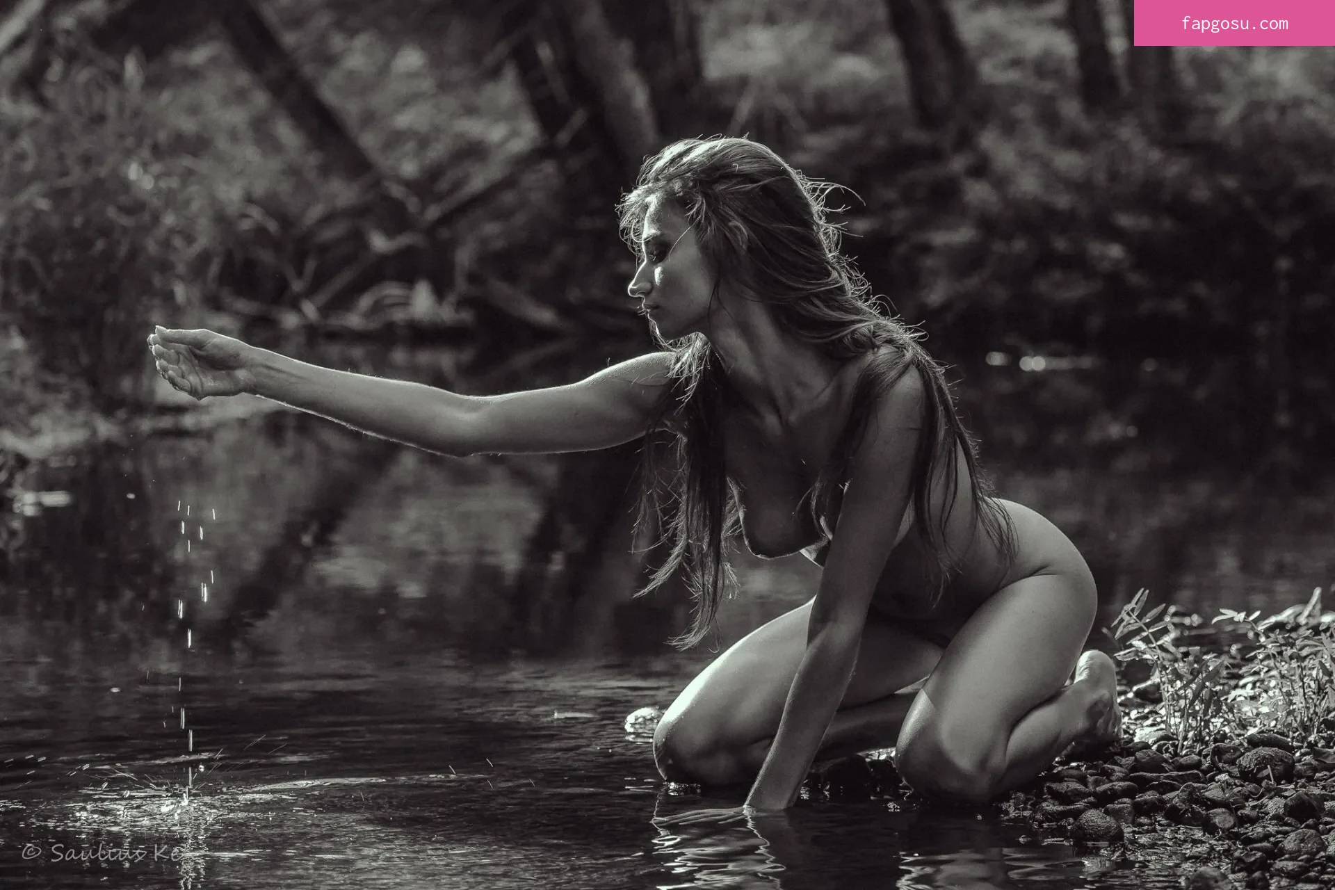 Ilvy Kokomo