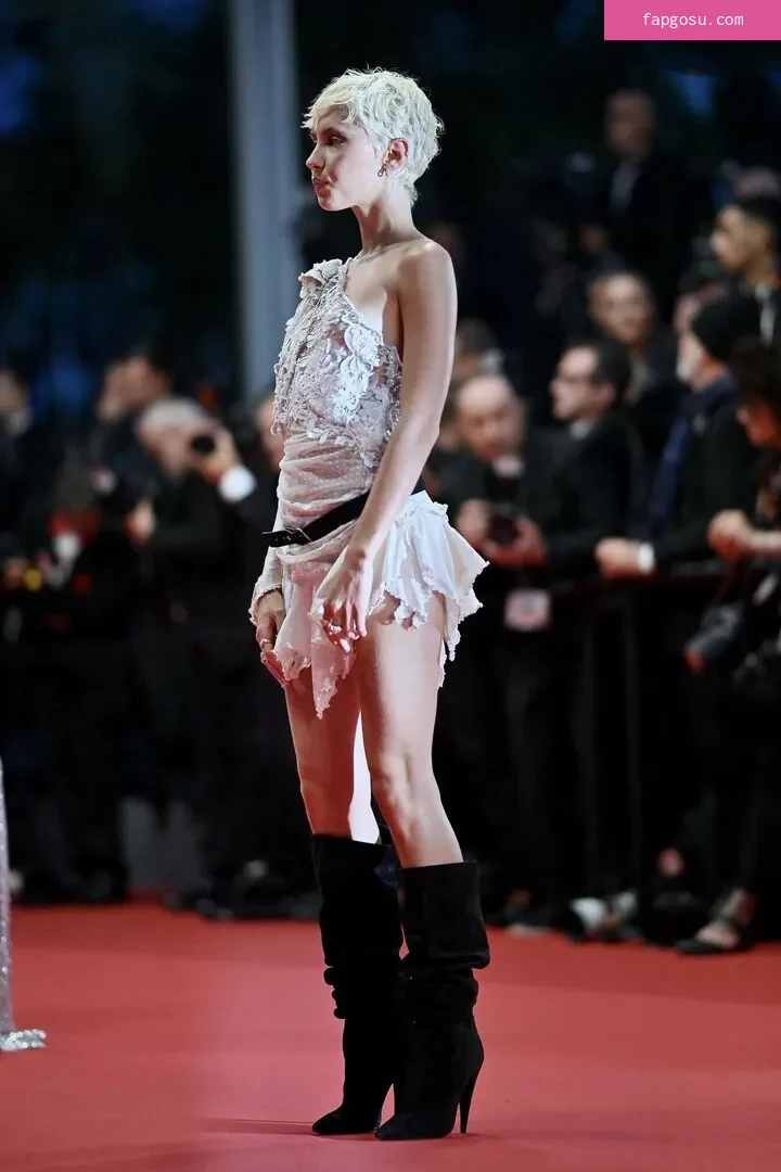 Iris Law