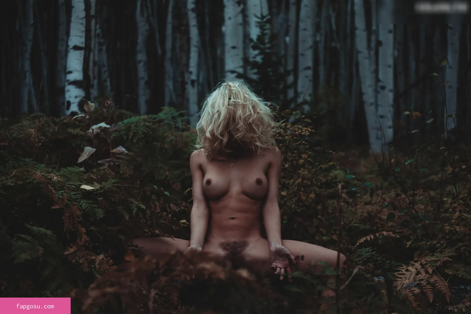 Ivy Wolfe