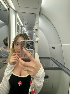 Jvsmin content