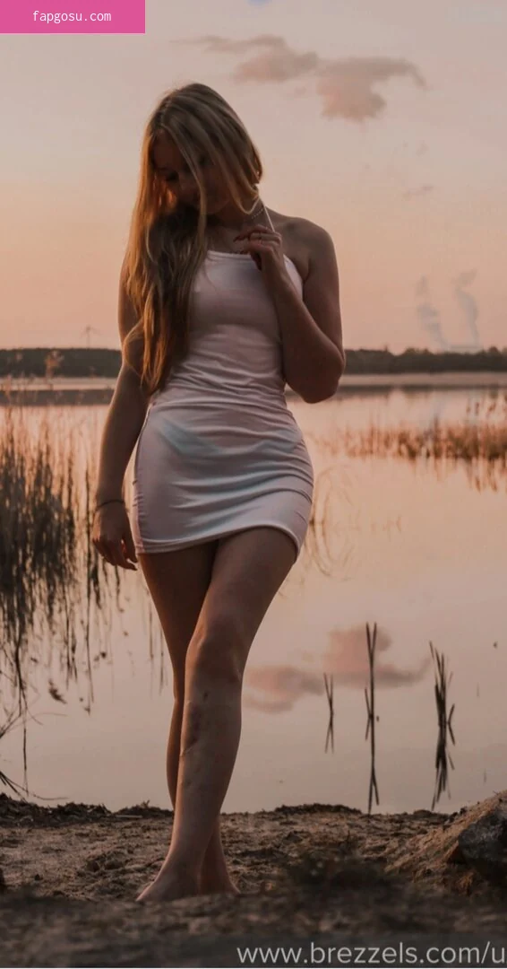 Jxsi_bee_ares