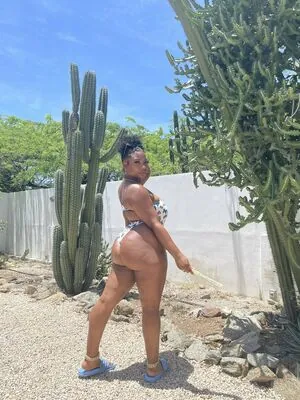 kalemlikesalem content