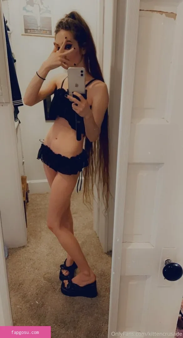 kittencrusade