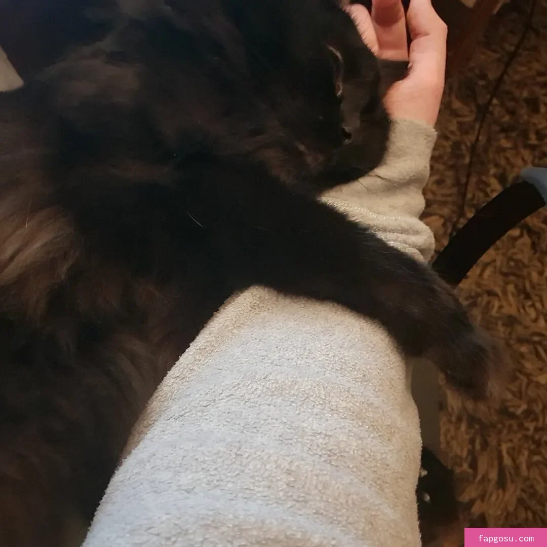 Kate Quinn