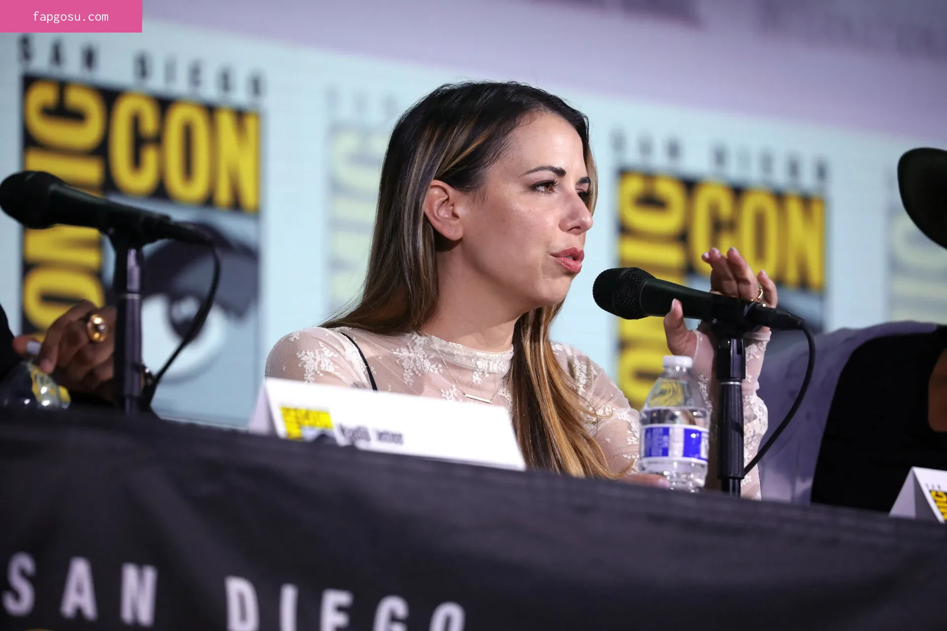 Laura Bailey #1-208