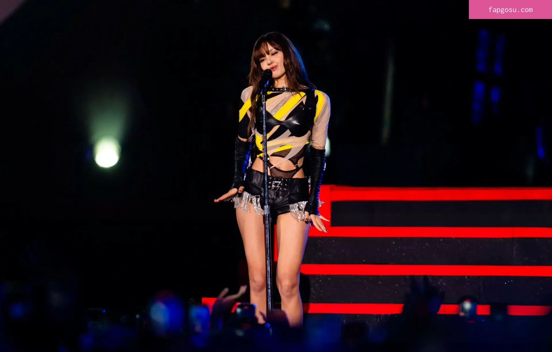 Lisa Blackpink