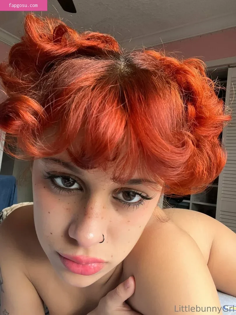Little Bunny