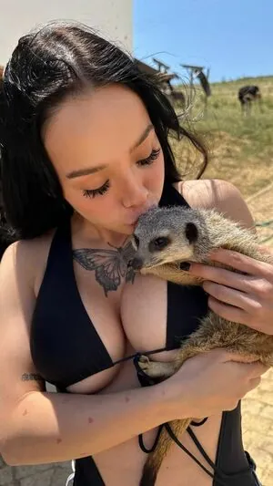 lyna_com content