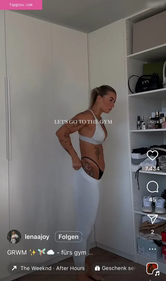 Lenaajoy