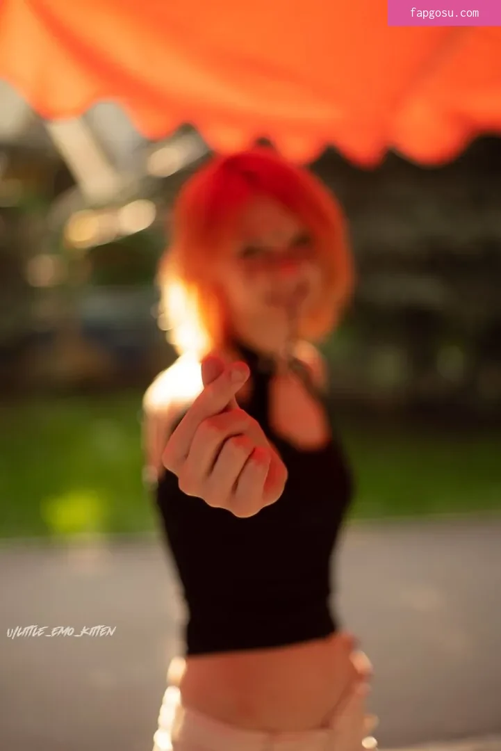 little_emo_kitten - Photo #1321