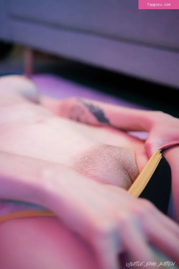 little_emo_kitten - Photo #1406