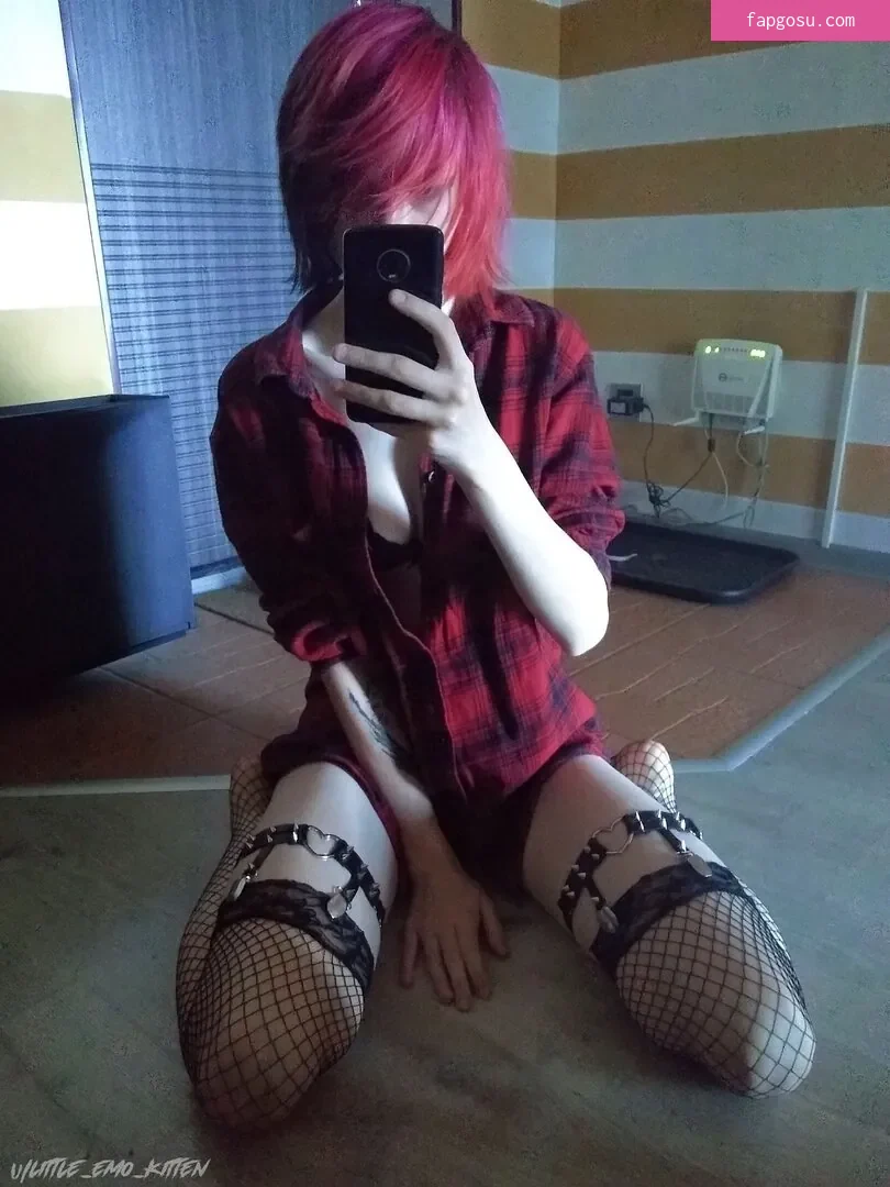little_emo_kitten