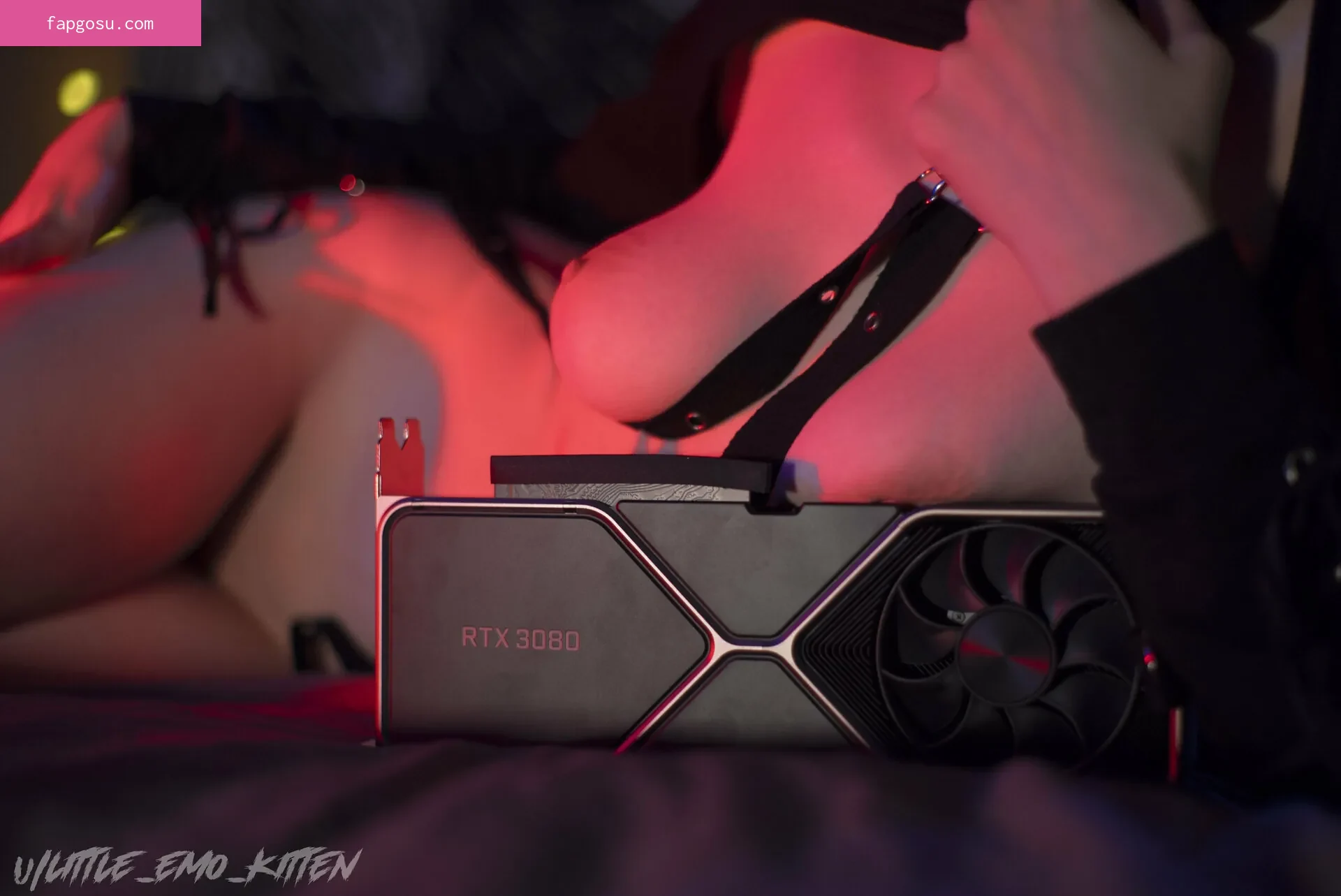 little_emo_kitten - Photo #176