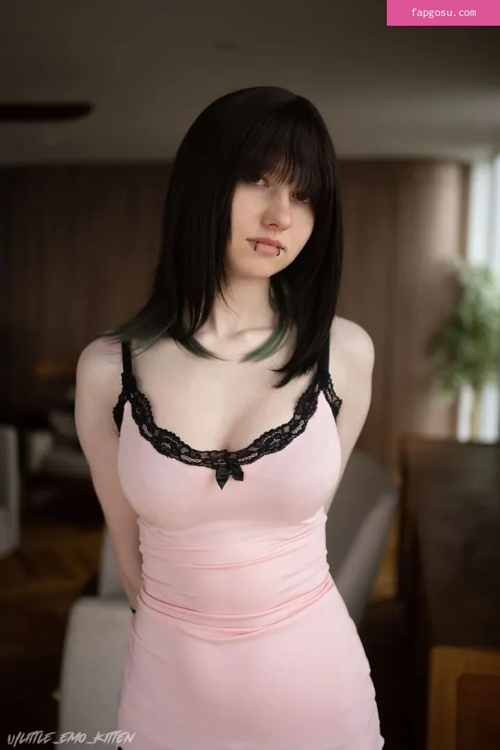 little_emo_kitten