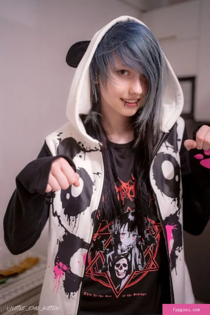 little_emo_kitten - Photo #1862