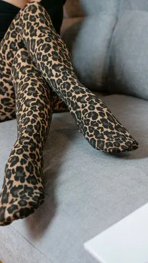 Layla Fashion