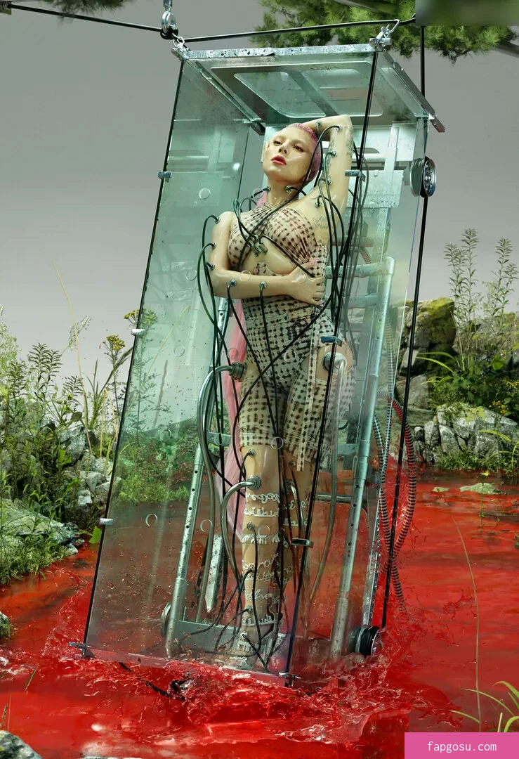 Lady Gaga
