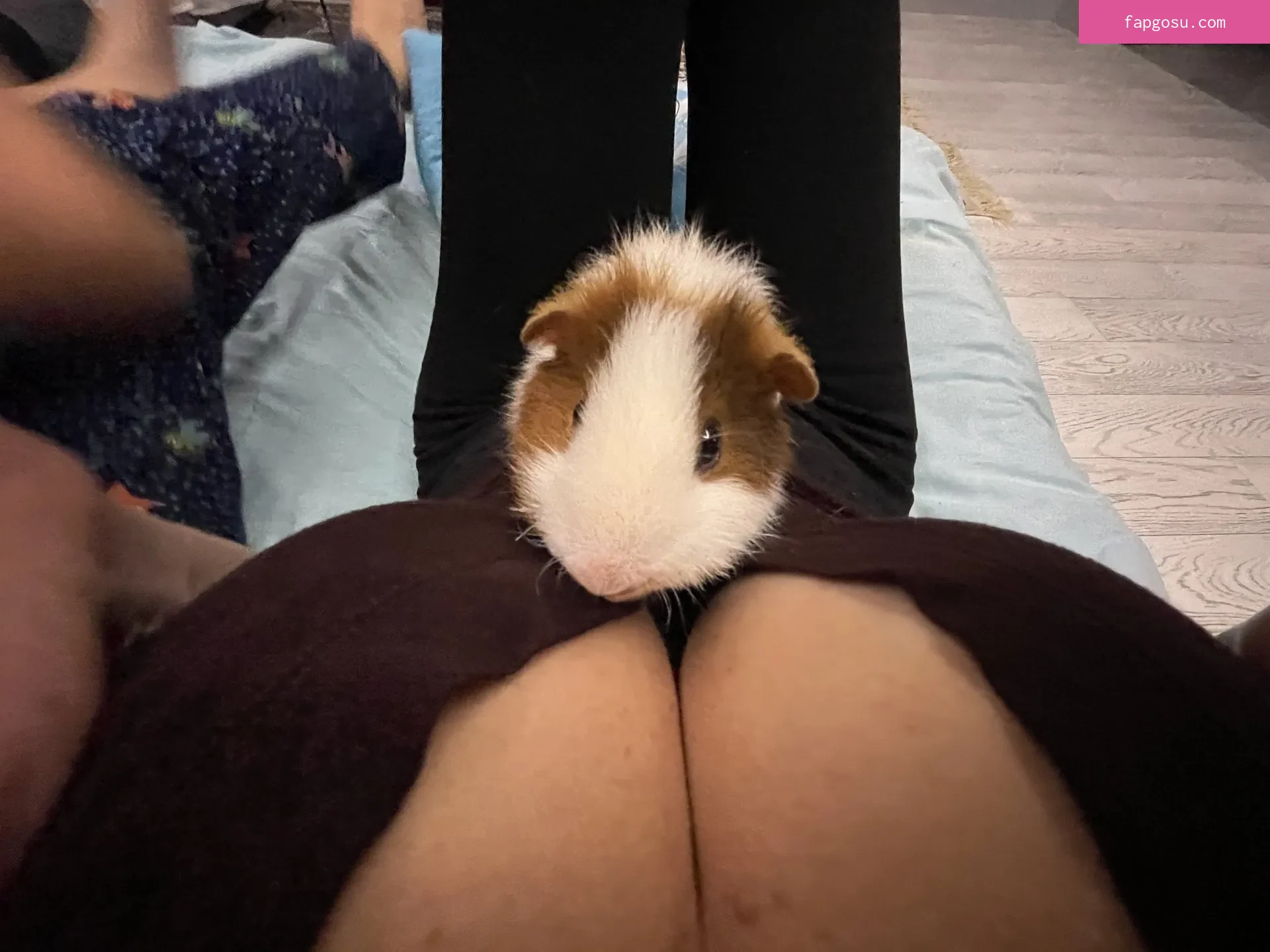 Lisarulit - Photo #108