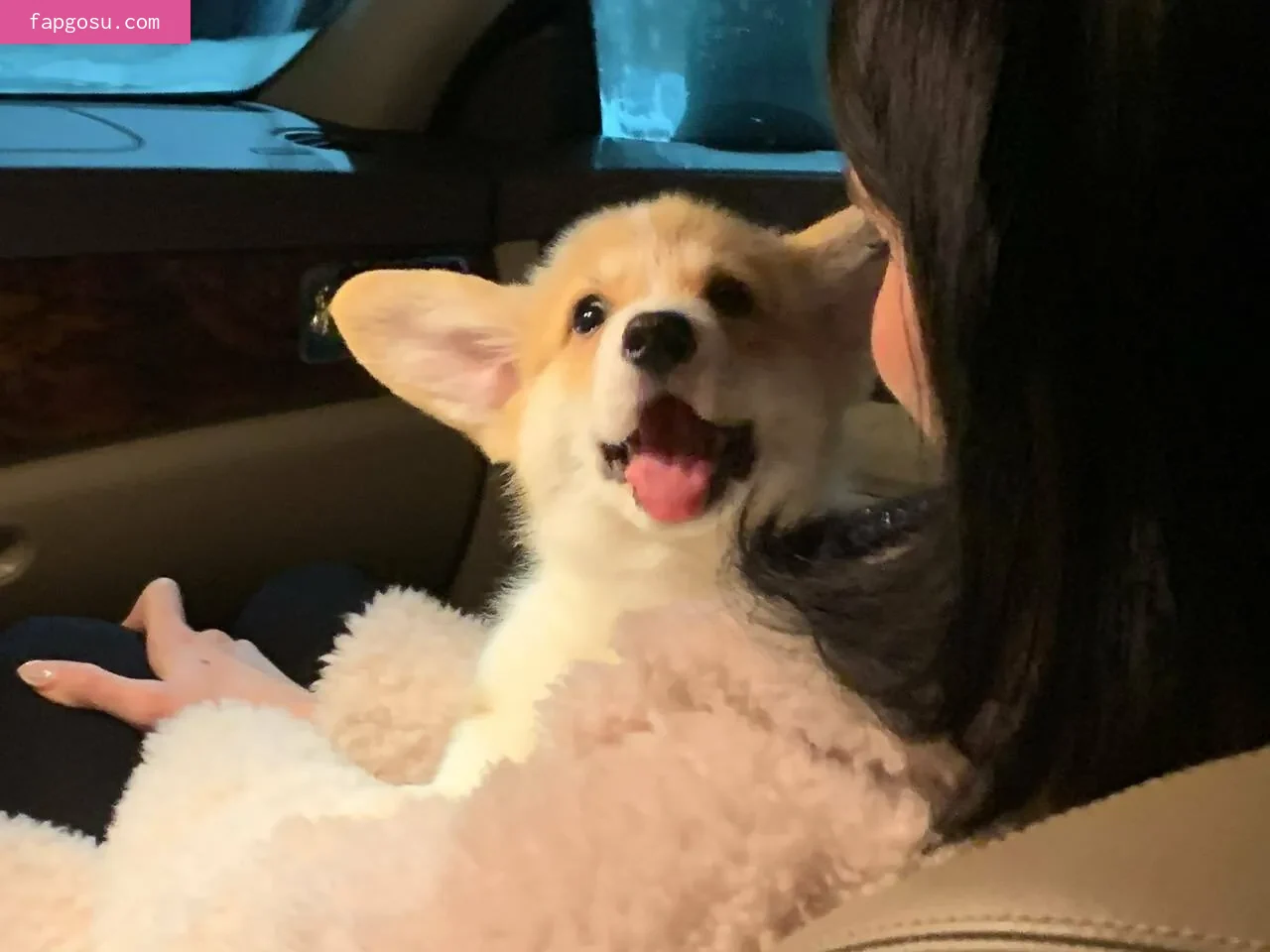 loonassoftfeet