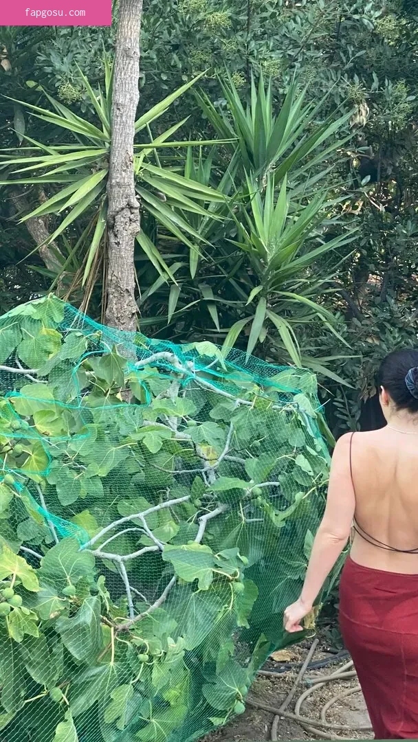 Lorde