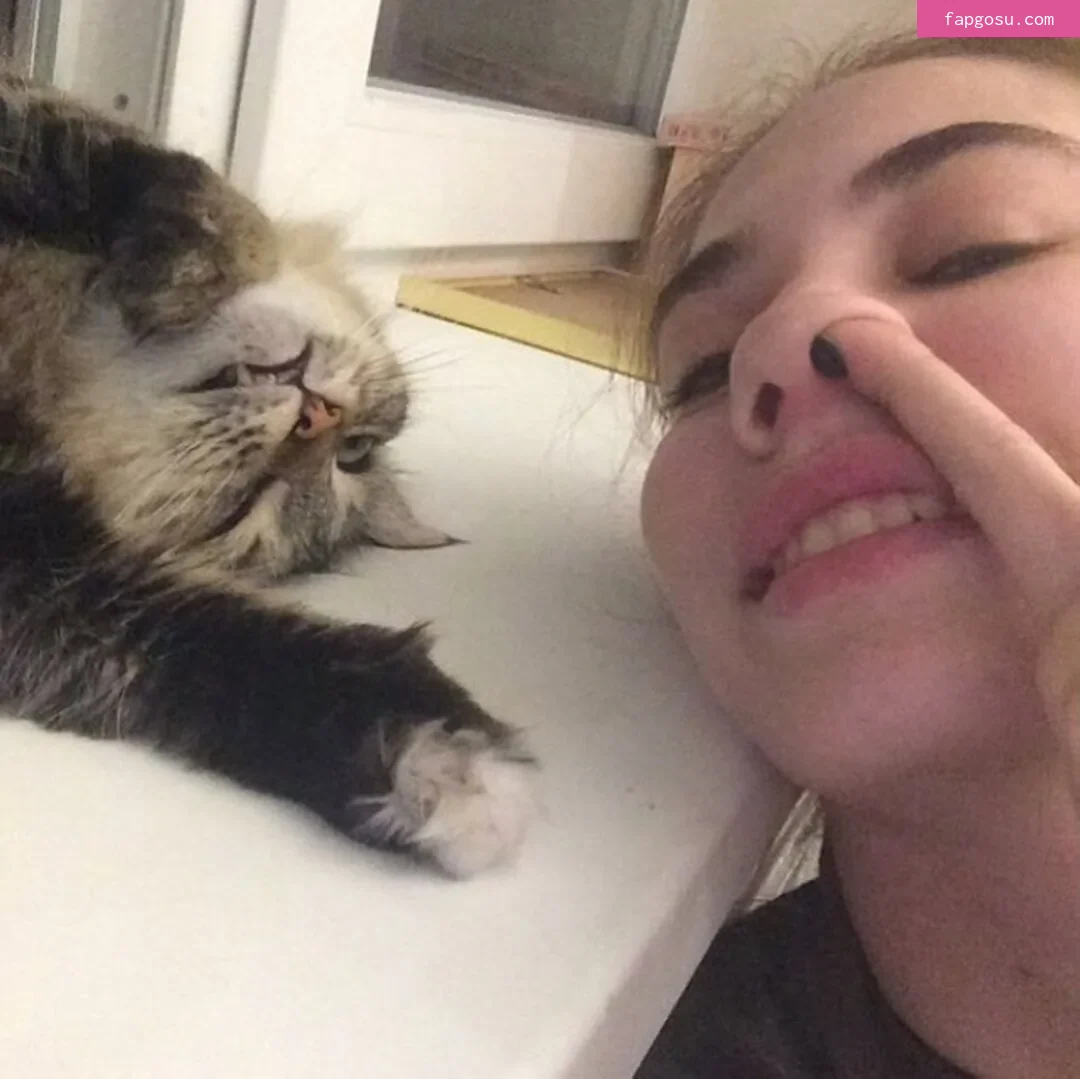 lovecatsmew