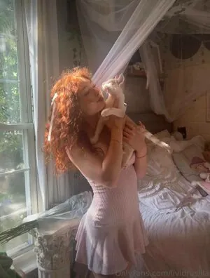 Livia Paige content