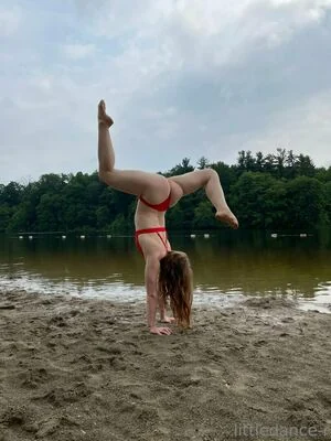 littledance-r content