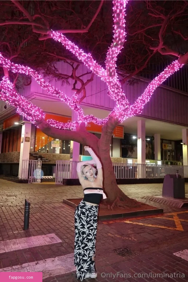 Luminatria