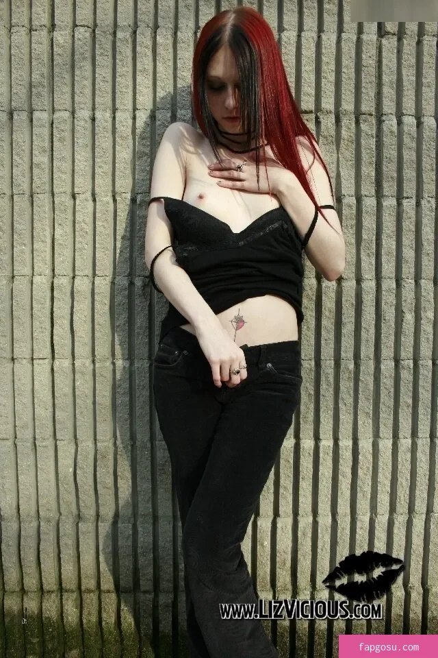 Liz Vicious