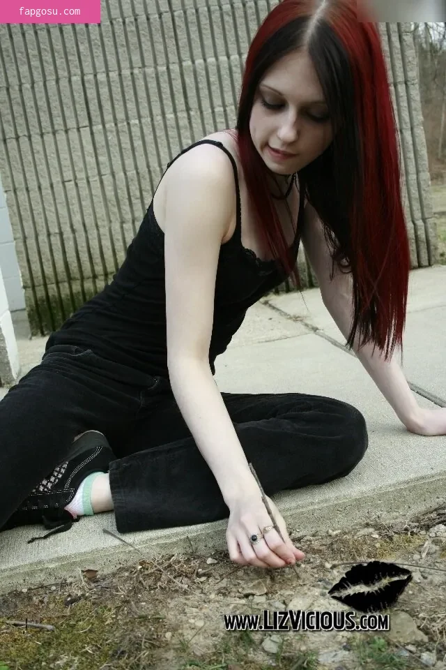 Liz Vicious