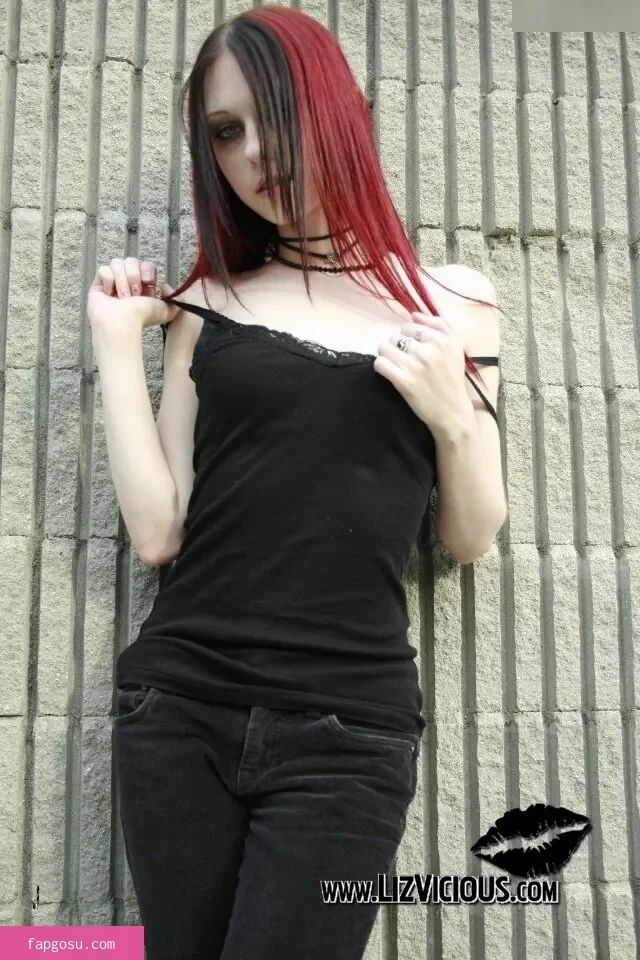 Liz Vicious
