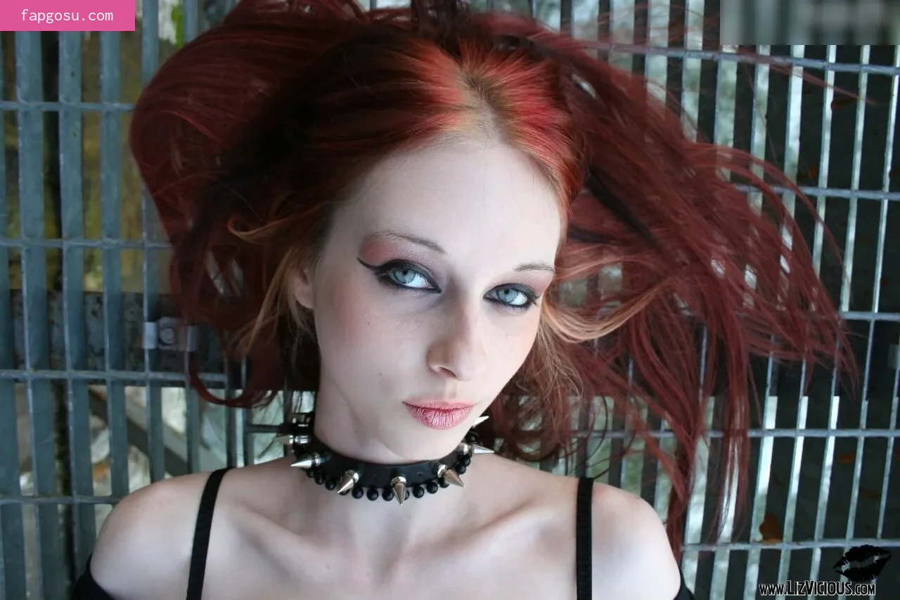 Liz Vicious