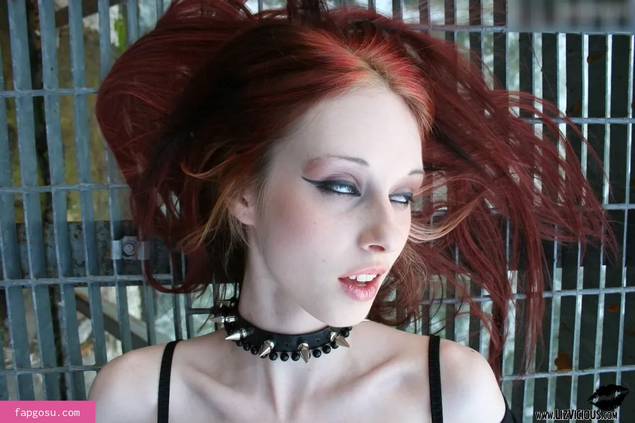 Liz Vicious