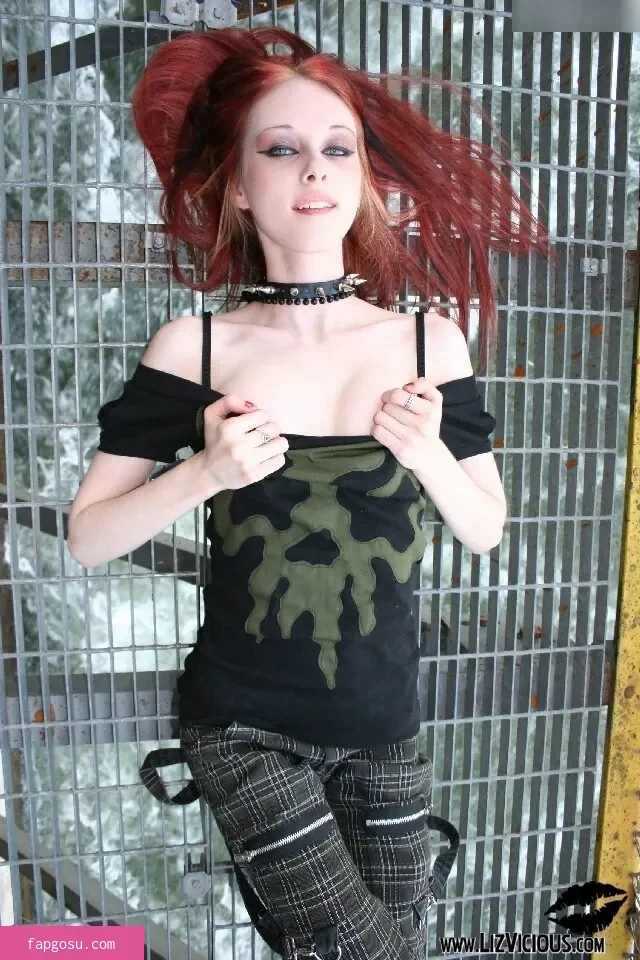 Liz Vicious