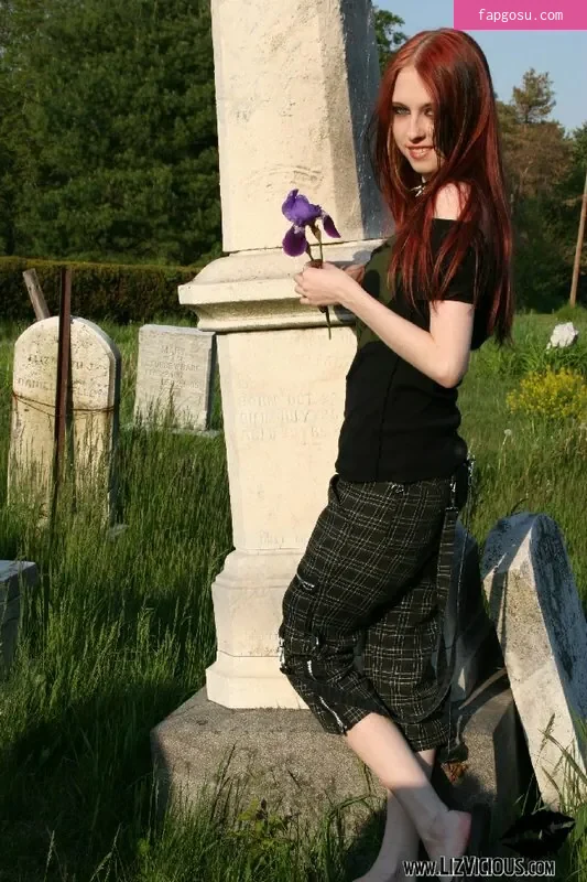 Liz Vicious