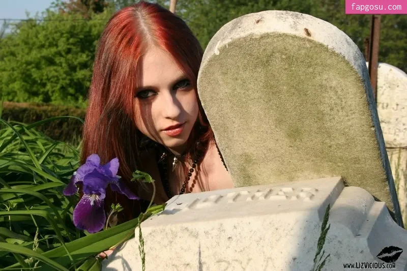 Liz Vicious
