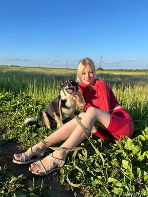 Mayshyni content