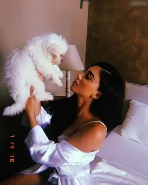 melinda ademi content
