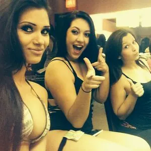 Melissa Anne Sanchez content
