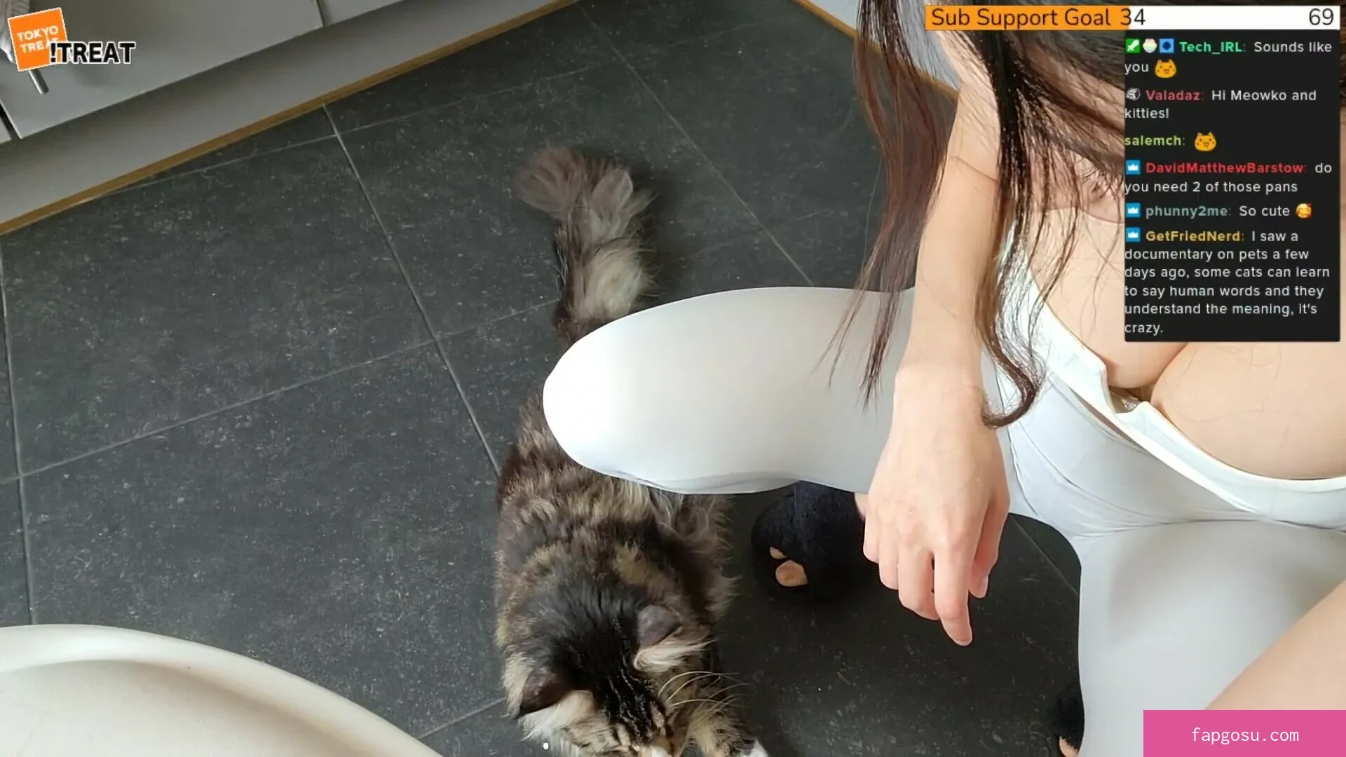 Meowko