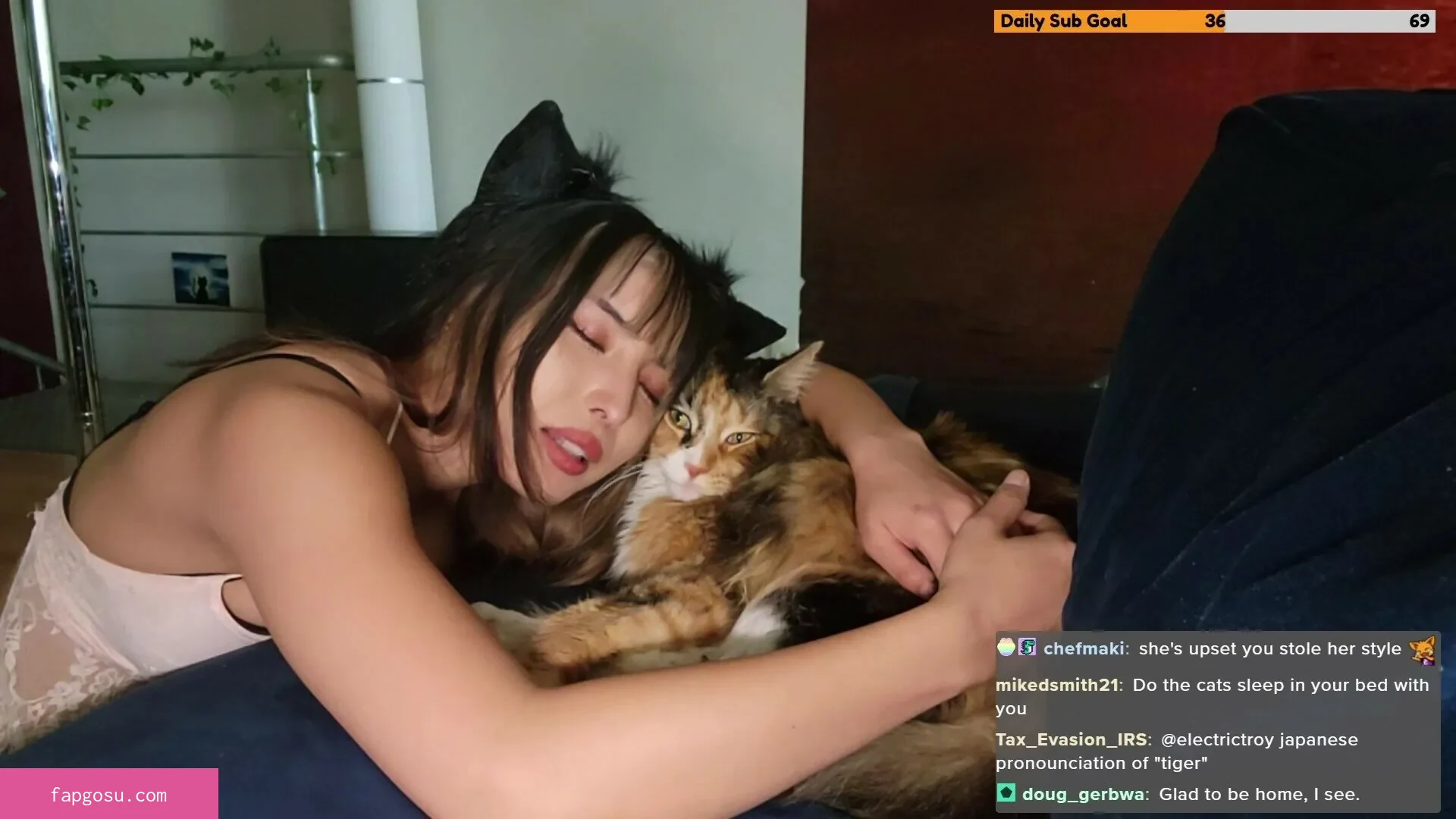 Meowko - Photo #1861