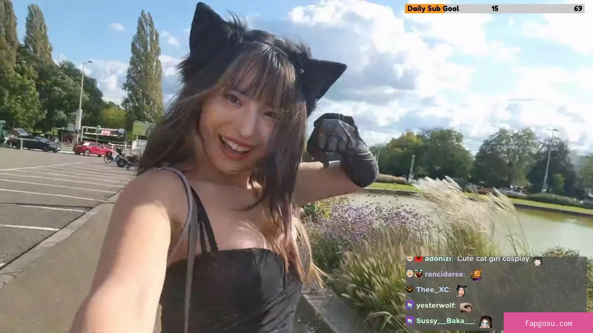 Meowko - Photo #1872