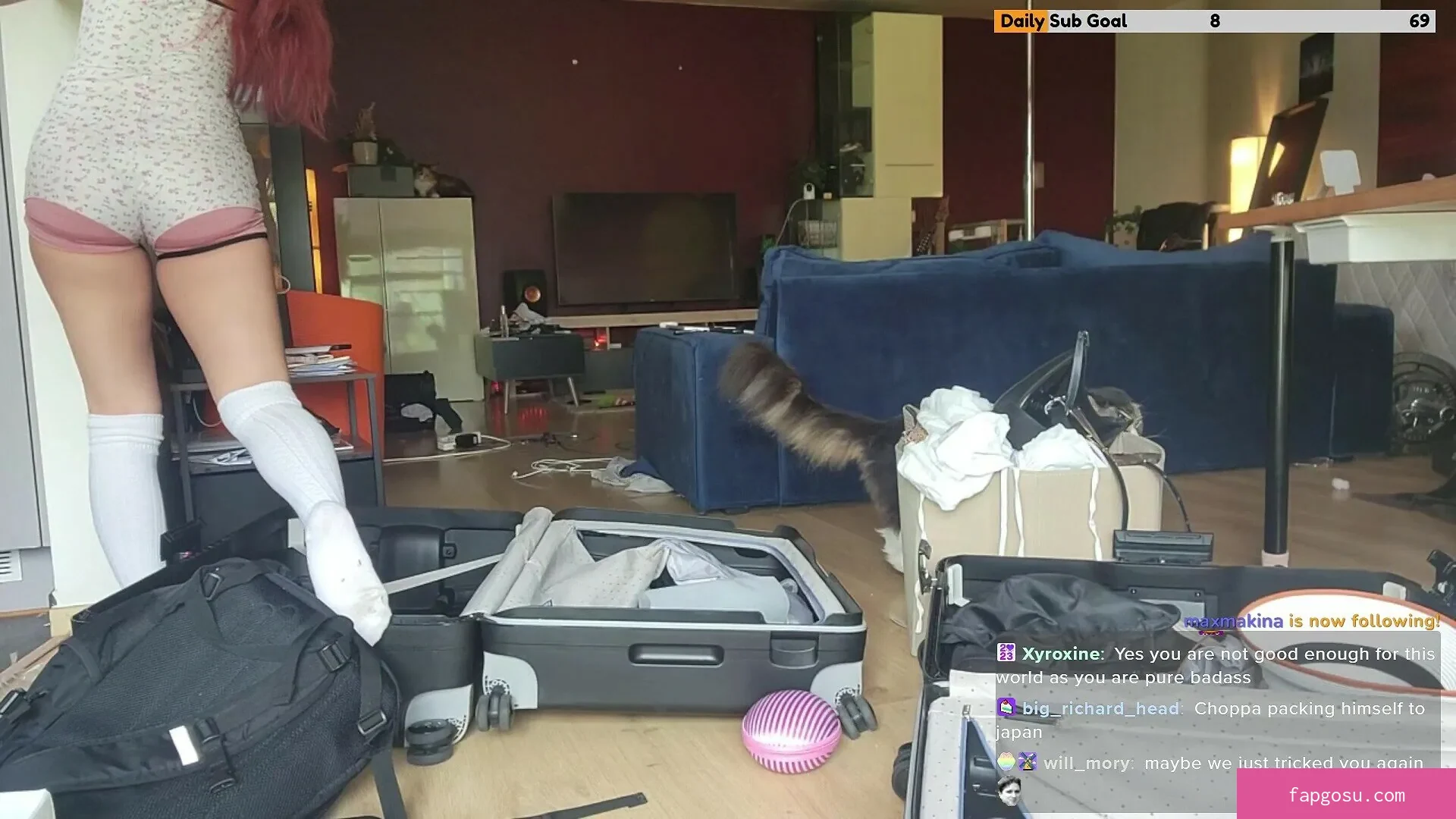 Meowko - Photo #3114